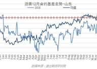 山东期货,发展现状、风险预警与未来展望